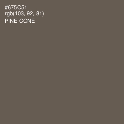 #675C51 - Pine Cone Color Image